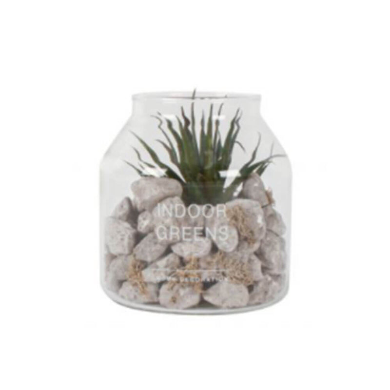 Bane fausse terrarium succulent