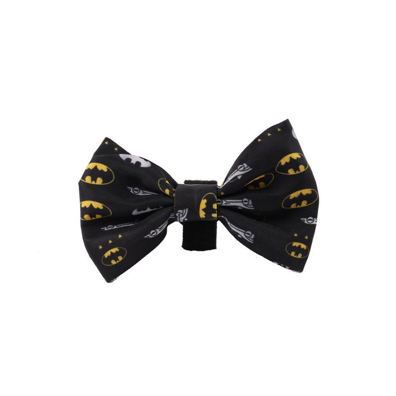 Warner Bros Dog Bowtie