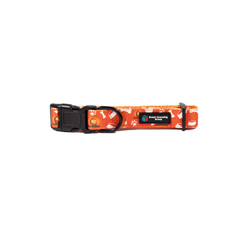 BBL Perth Scorchers Dog Collar