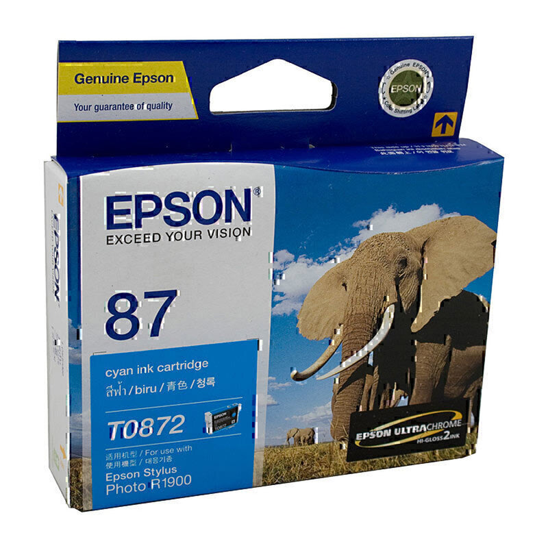 Cartuccia di inchiostro Epson T087