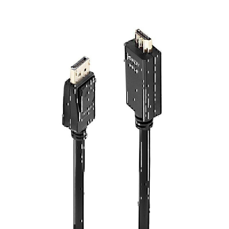 Câble Lindy DisplayPort à HDMI 10.2g