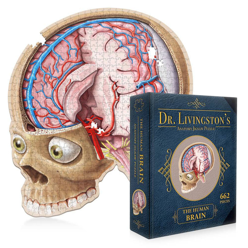 Puzzle de rompecabezas de anatomía del Dr. Livingston