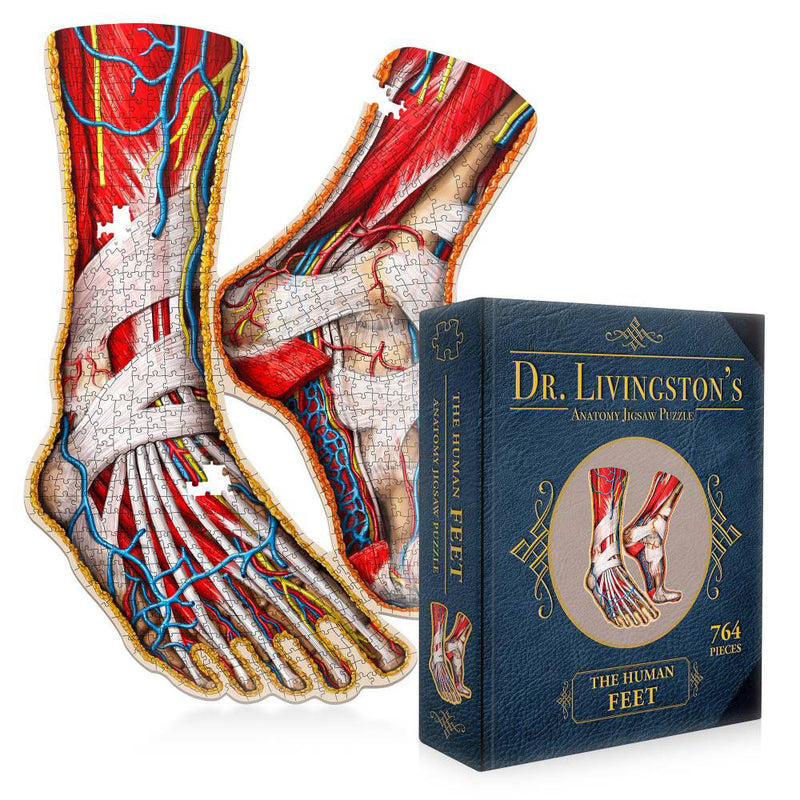 Puzzle d'anatomie du Dr Livingston