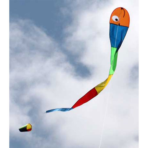 Windspeed Single String Wilma The Kite