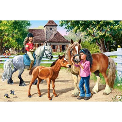 Castorland Classic Jigsaw Puzzle 70pcs