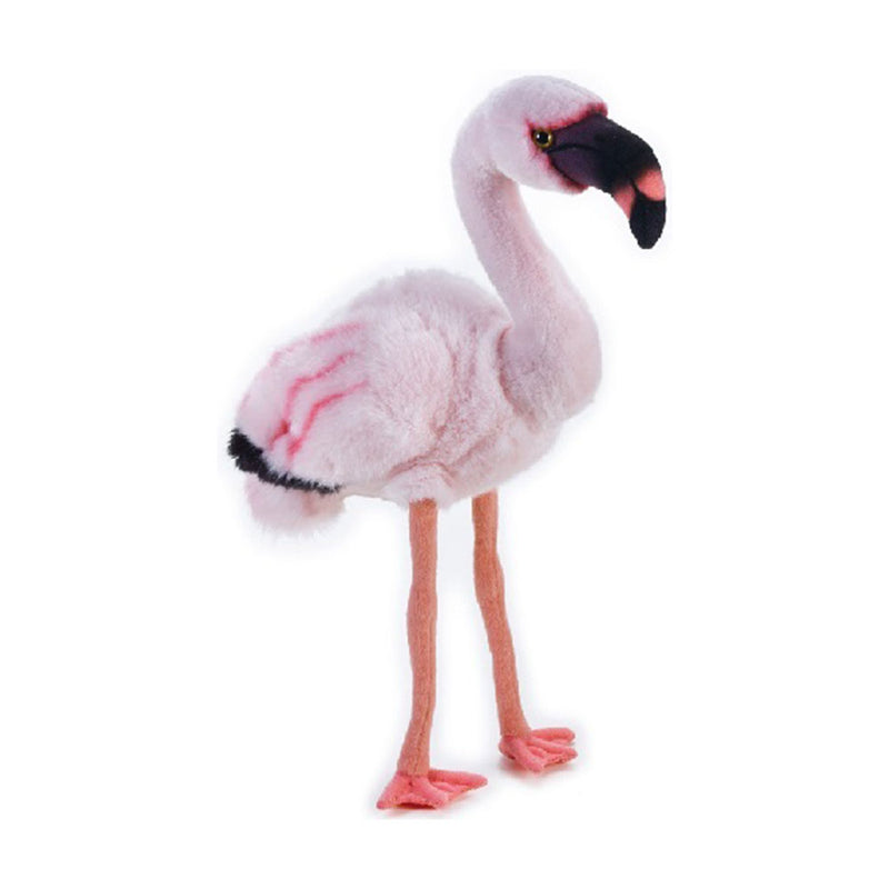 National Geographic Flamingo Tyt