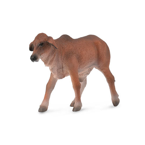 CollectA Brahman Calf Figure (Small)