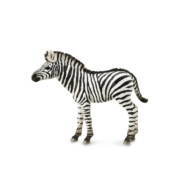 CollectA Zebra Foal Figure (Medium)