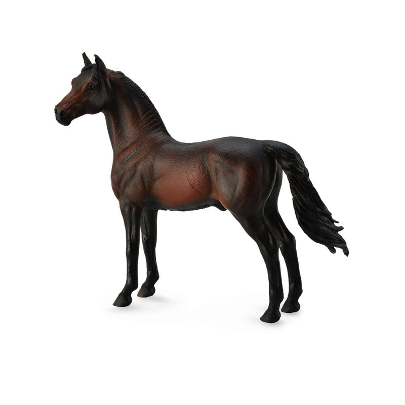  Figura CollectA Morgan Stallion (extra grande)