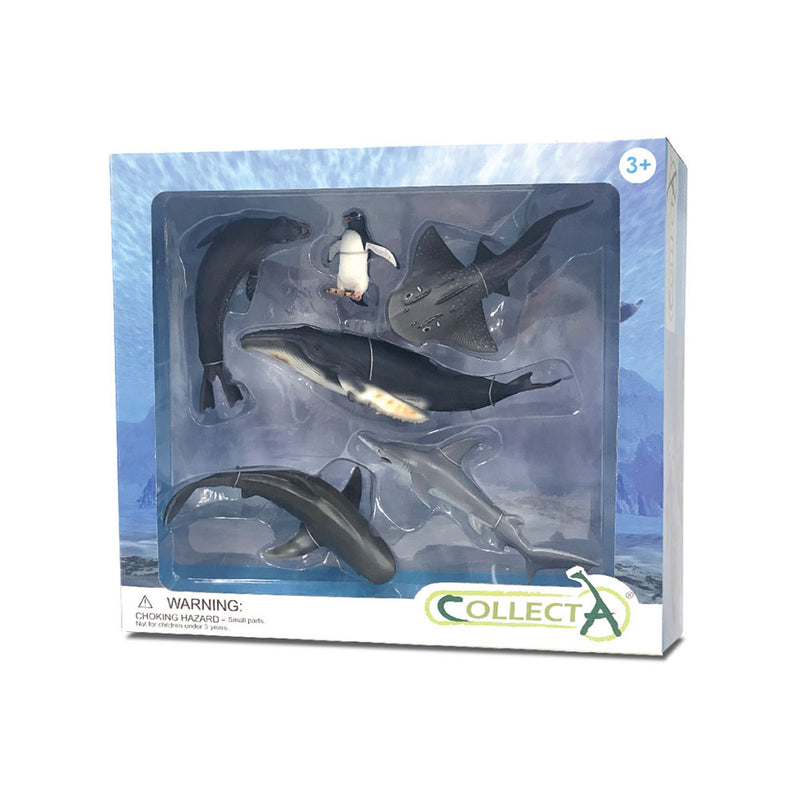  CollectA Set de regalo con figuras de animales marinos (paquete de 6)