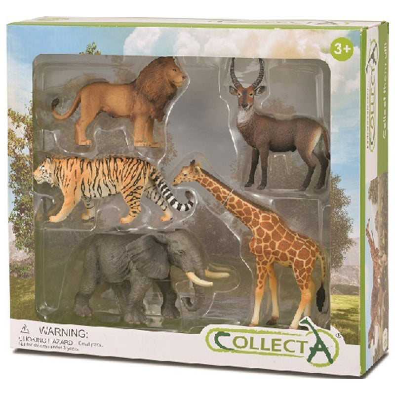 Set de regalos de 5 piezas de CollectA Wild Life