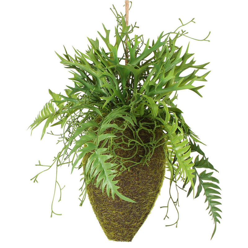  Moana Kokedama Colgante Mixto