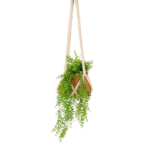 Kia Terracotta Pot Macrame Hanger (110x15x15cm)