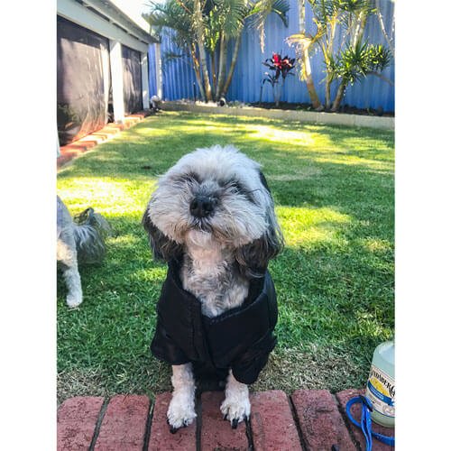 Pet Jacket with Hoodie (30/40cm)