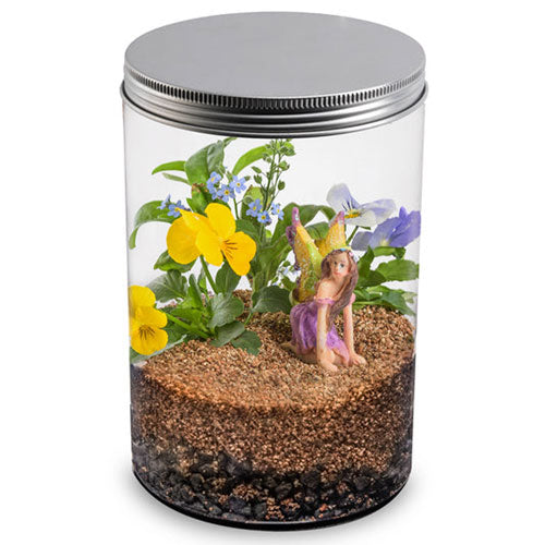 Mrs. Green's Flower Fairy Terrarium