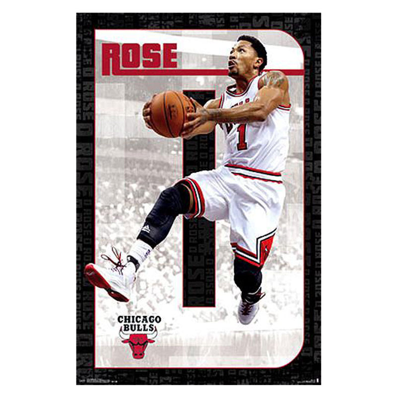  NBA Chicago Bulls Póster