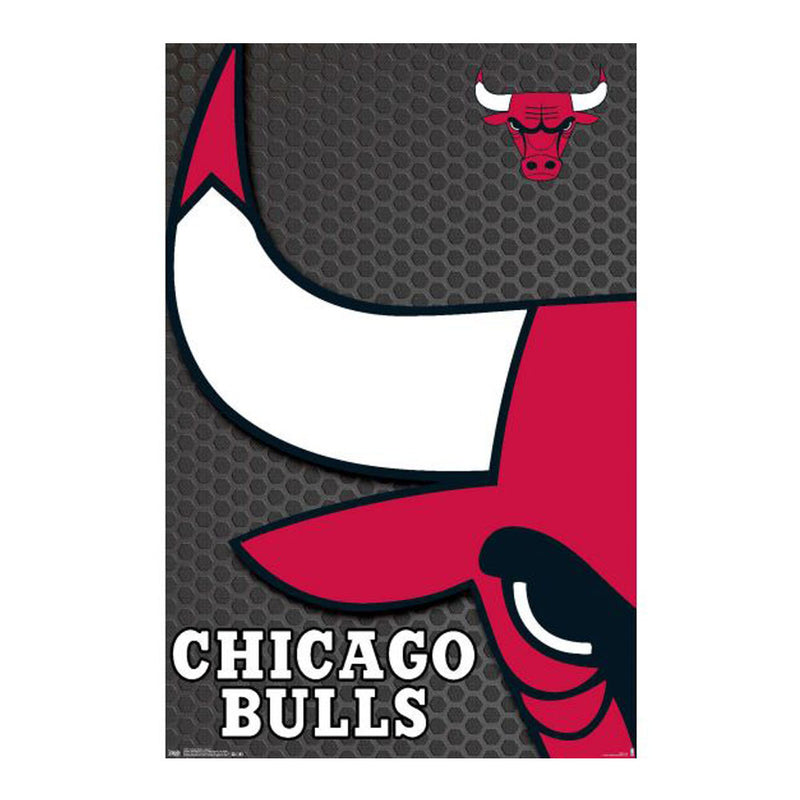  NBA Chicago Bulls Póster